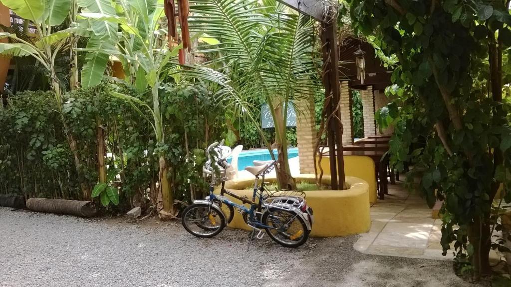 Casa Grande 2*